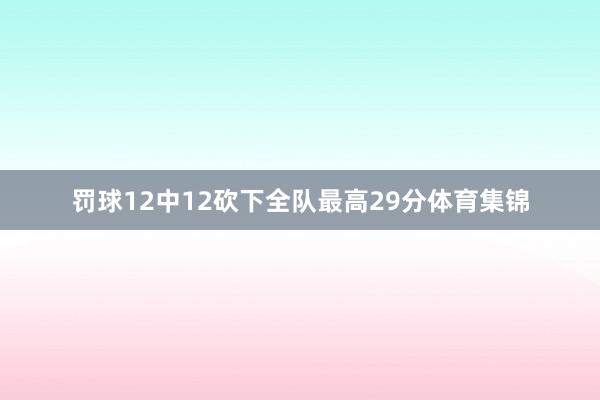 罚球12中12砍下全队最高29分体育集锦