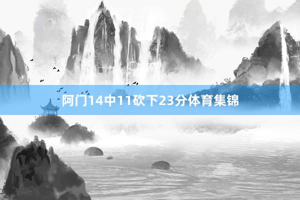 阿门14中11砍下23分体育集锦