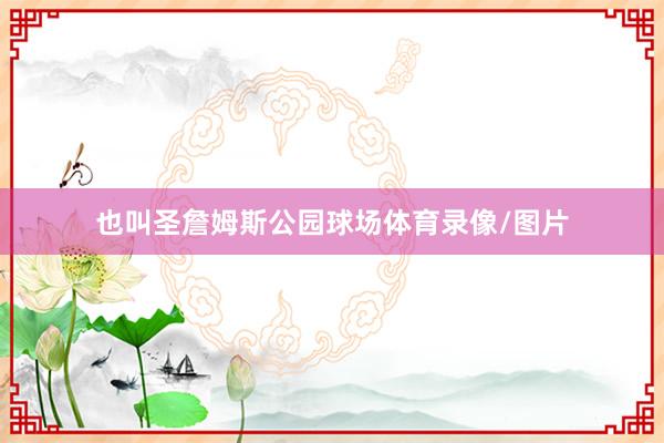 也叫圣詹姆斯公园球场体育录像/图片