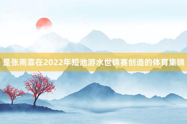 是张雨霏在2022年短池游水世锦赛创造的体育集锦