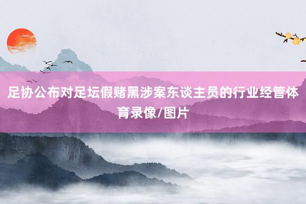 足协公布对足坛假赌黑涉案东谈主员的行业经管体育录像/图片