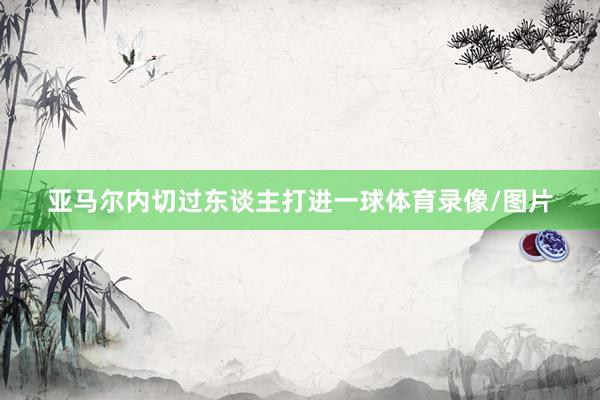 亚马尔内切过东谈主打进一球体育录像/图片