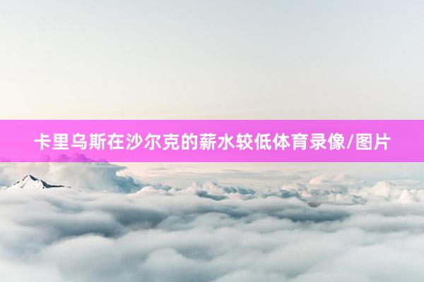 卡里乌斯在沙尔克的薪水较低体育录像/图片