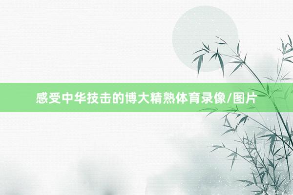 感受中华技击的博大精熟体育录像/图片