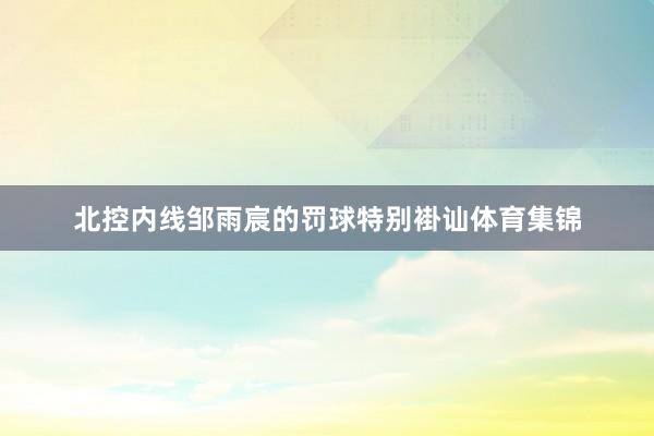 北控内线邹雨宸的罚球特别褂讪体育集锦