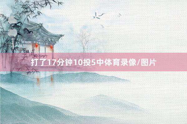 打了17分钟10投5中体育录像/图片