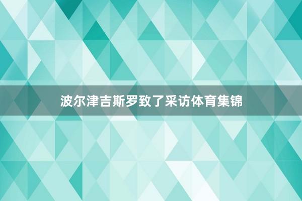 波尔津吉斯罗致了采访体育集锦