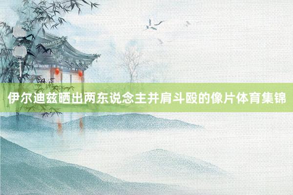 伊尔迪兹晒出两东说念主并肩斗殴的像片体育集锦