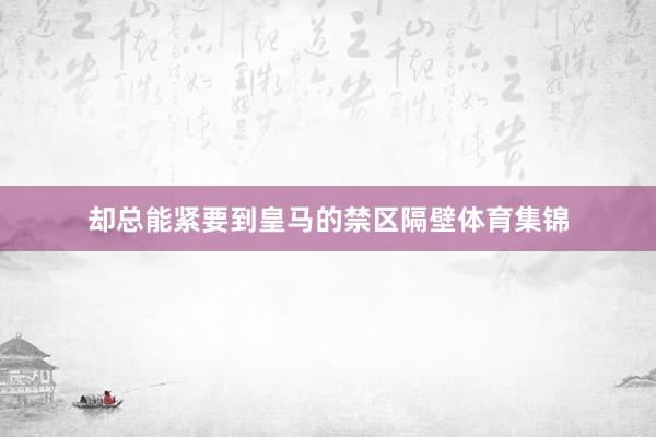 却总能紧要到皇马的禁区隔壁体育集锦