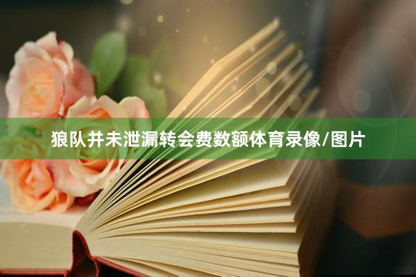狼队并未泄漏转会费数额体育录像/图片
