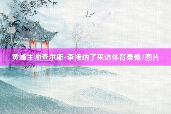 黄蜂主帅查尔斯-李接纳了采访体育录像/图片