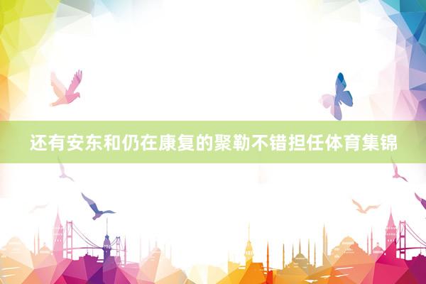 还有安东和仍在康复的聚勒不错担任体育集锦