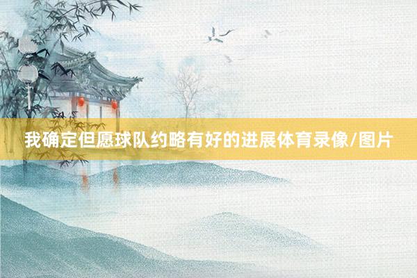 我确定但愿球队约略有好的进展体育录像/图片
