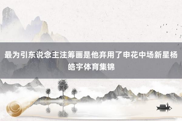 最为引东说念主注筹画是他弃用了申花中场新星杨皓宇体育集锦