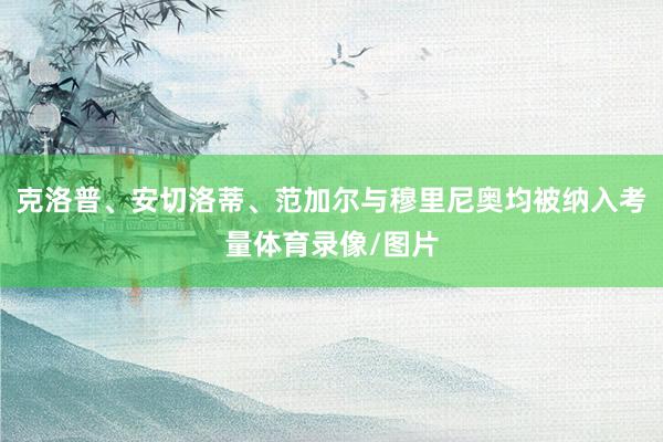 克洛普、安切洛蒂、范加尔与穆里尼奥均被纳入考量体育录像/图片