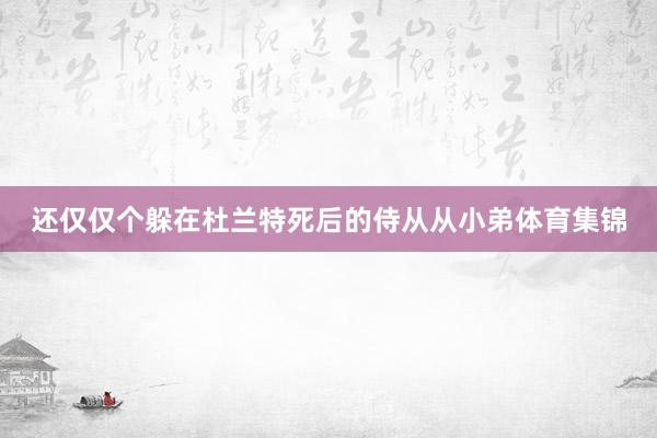 还仅仅个躲在杜兰特死后的侍从从小弟体育集锦