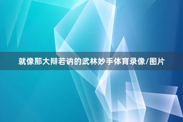 就像那大辩若讷的武林妙手体育录像/图片