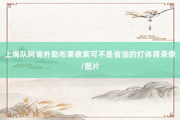 上海队阿谁外助布莱德索可不是省油的灯体育录像/图片