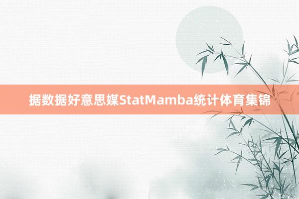 据数据好意思媒StatMamba统计体育集锦