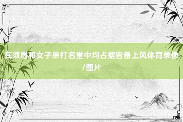 在须眉和女子单打名堂中均占据皆备上风体育录像/图片