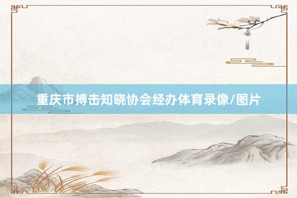 重庆市搏击知晓协会经办体育录像/图片