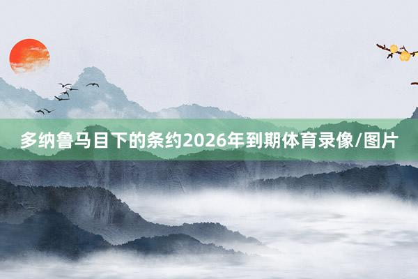 多纳鲁马目下的条约2026年到期体育录像/图片