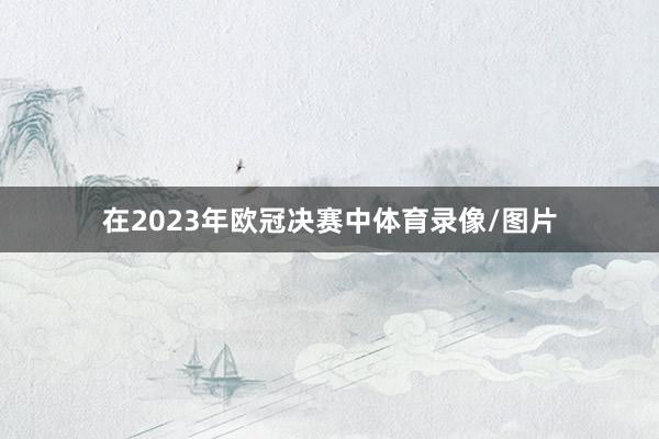 在2023年欧冠决赛中体育录像/图片