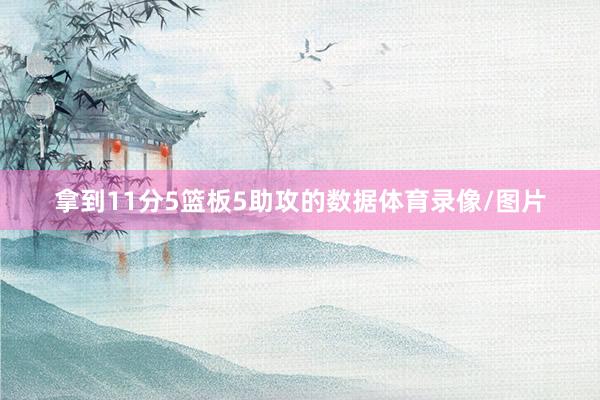 拿到11分5篮板5助攻的数据体育录像/图片