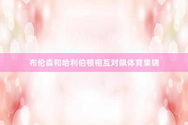 布伦森和哈利伯顿相互对飙体育集锦