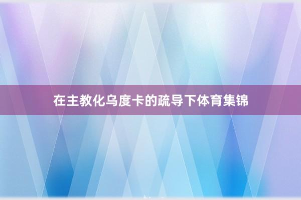 在主教化乌度卡的疏导下体育集锦