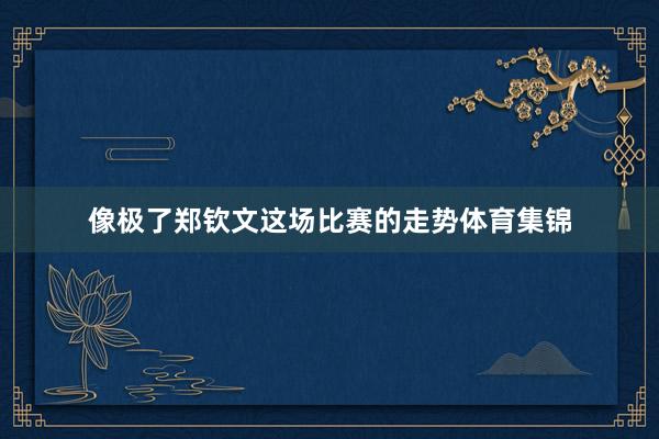 像极了郑钦文这场比赛的走势体育集锦