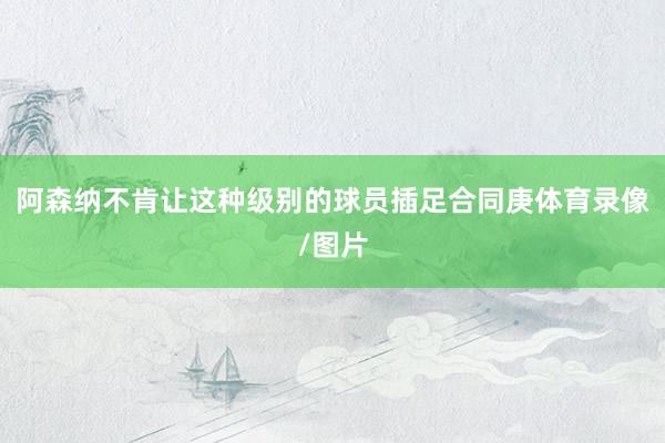 阿森纳不肯让这种级别的球员插足合同庚体育录像/图片