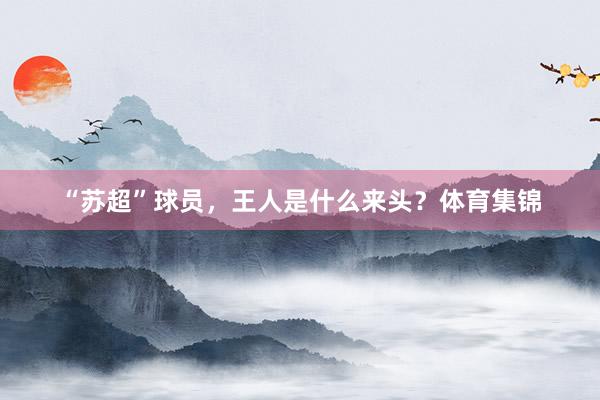 “苏超”球员，王人是什么来头？体育集锦
