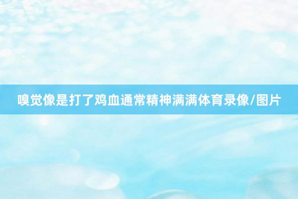 嗅觉像是打了鸡血通常精神满满体育录像/图片