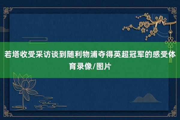 若塔收受采访谈到随利物浦夺得英超冠军的感受体育录像/图片