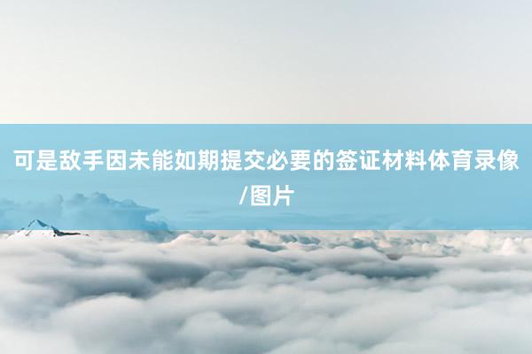 可是敌手因未能如期提交必要的签证材料体育录像/图片