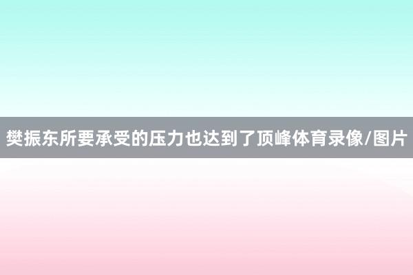 樊振东所要承受的压力也达到了顶峰体育录像/图片