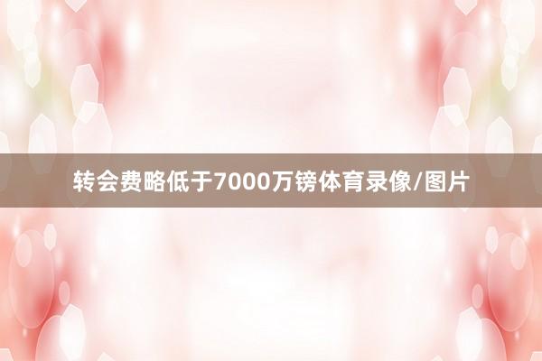 转会费略低于7000万镑体育录像/图片