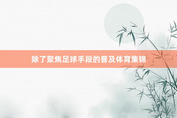 除了聚焦足球手段的普及体育集锦