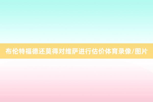 布伦特福德还莫得对维萨进行估价体育录像/图片
