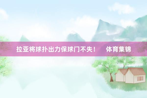 拉亚将球扑出力保球门不失！    体育集锦