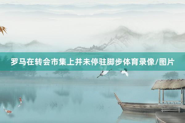 罗马在转会市集上并未停驻脚步体育录像/图片