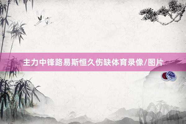 主力中锋路易斯恒久伤缺体育录像/图片