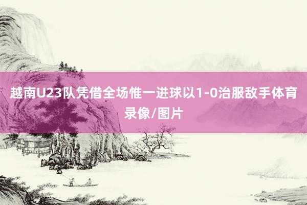 越南U23队凭借全场惟一进球以1-0治服敌手体育录像/图片