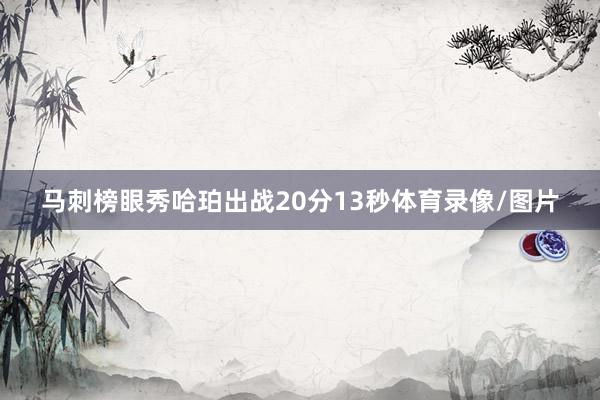 马刺榜眼秀哈珀出战20分13秒体育录像/图片