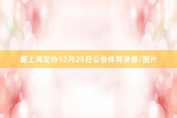 据上海足协12月25日公告体育录像/图片