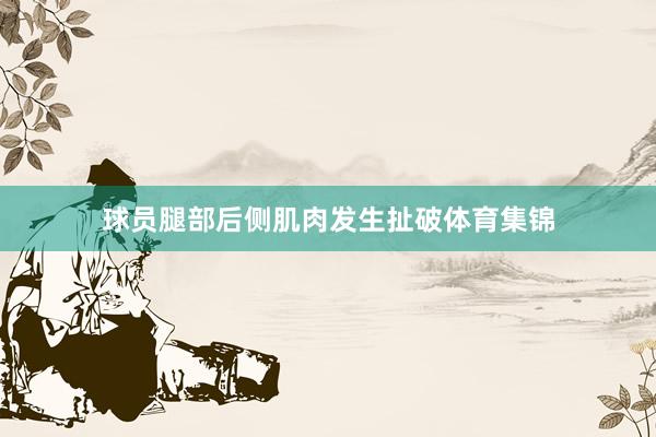 球员腿部后侧肌肉发生扯破体育集锦