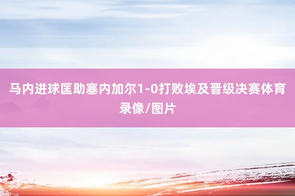 马内进球匡助塞内加尔1-0打败埃及晋级决赛体育录像/图片
