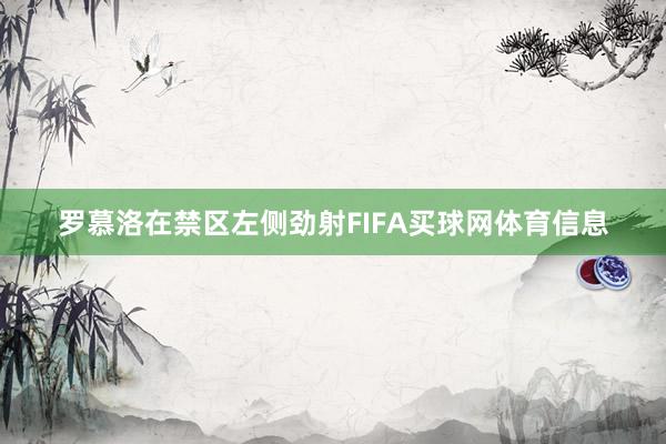 罗慕洛在禁区左侧劲射FIFA买球网体育信息