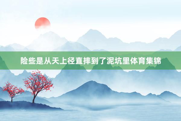 险些是从天上径直摔到了泥坑里体育集锦